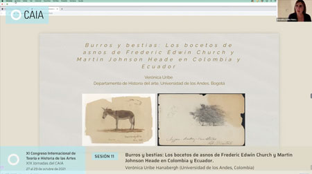 burros